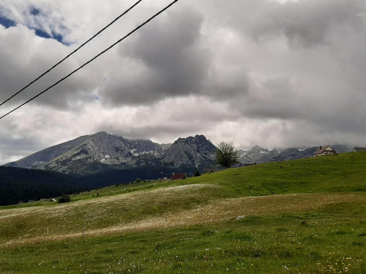 Vila Aleksandar Zabljak  Bagian luar foto