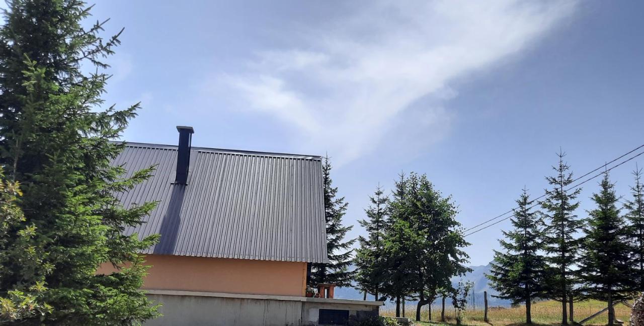 Vila Aleksandar Zabljak  Bagian luar foto