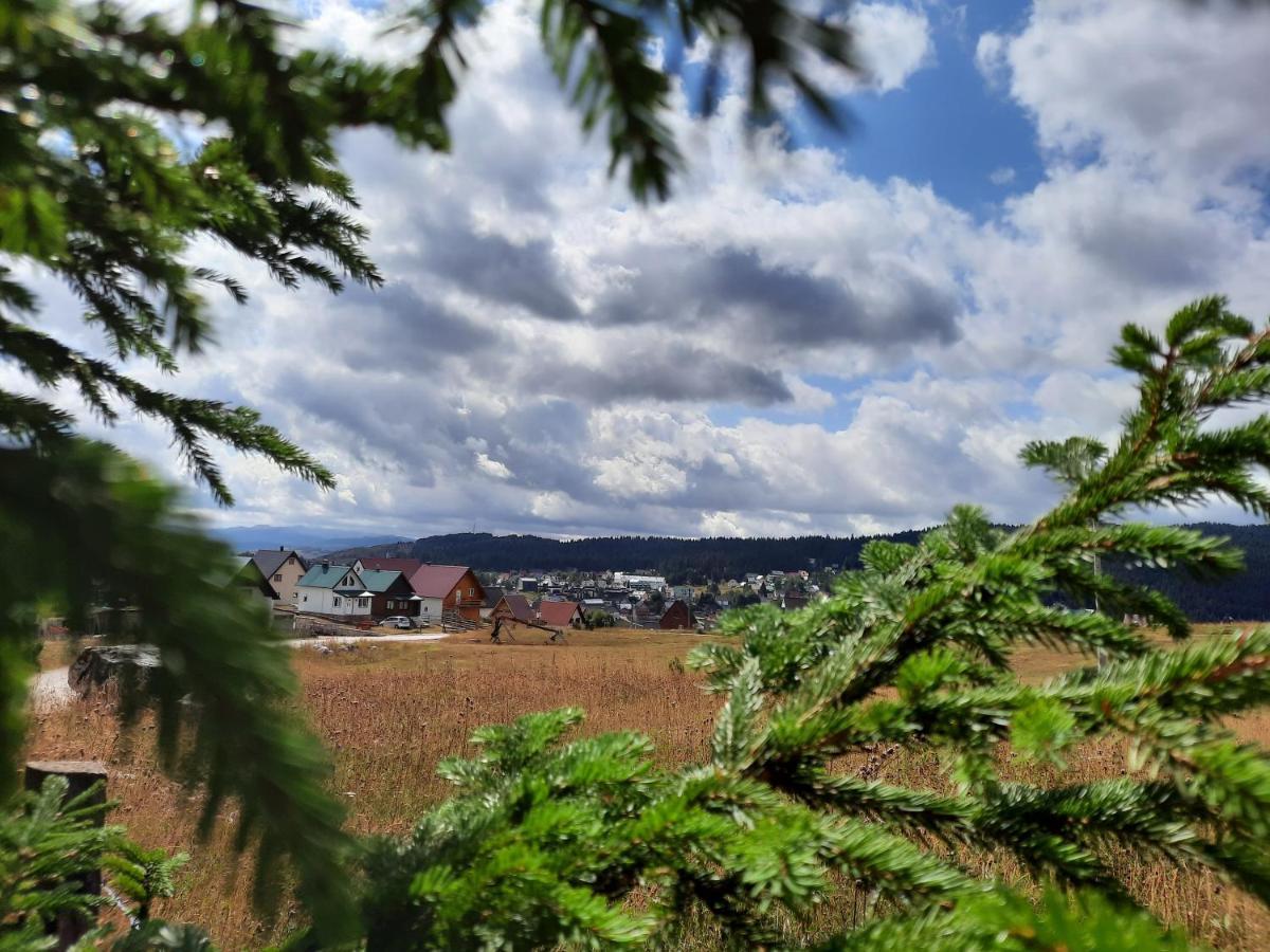 Vila Aleksandar Zabljak  Bagian luar foto